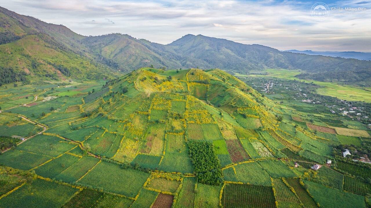 Nhìn từ trên cao xuống núi lửa Chư Đăng Ya, vệt hoa dã quỳ vàng giữa những ô nương xanh