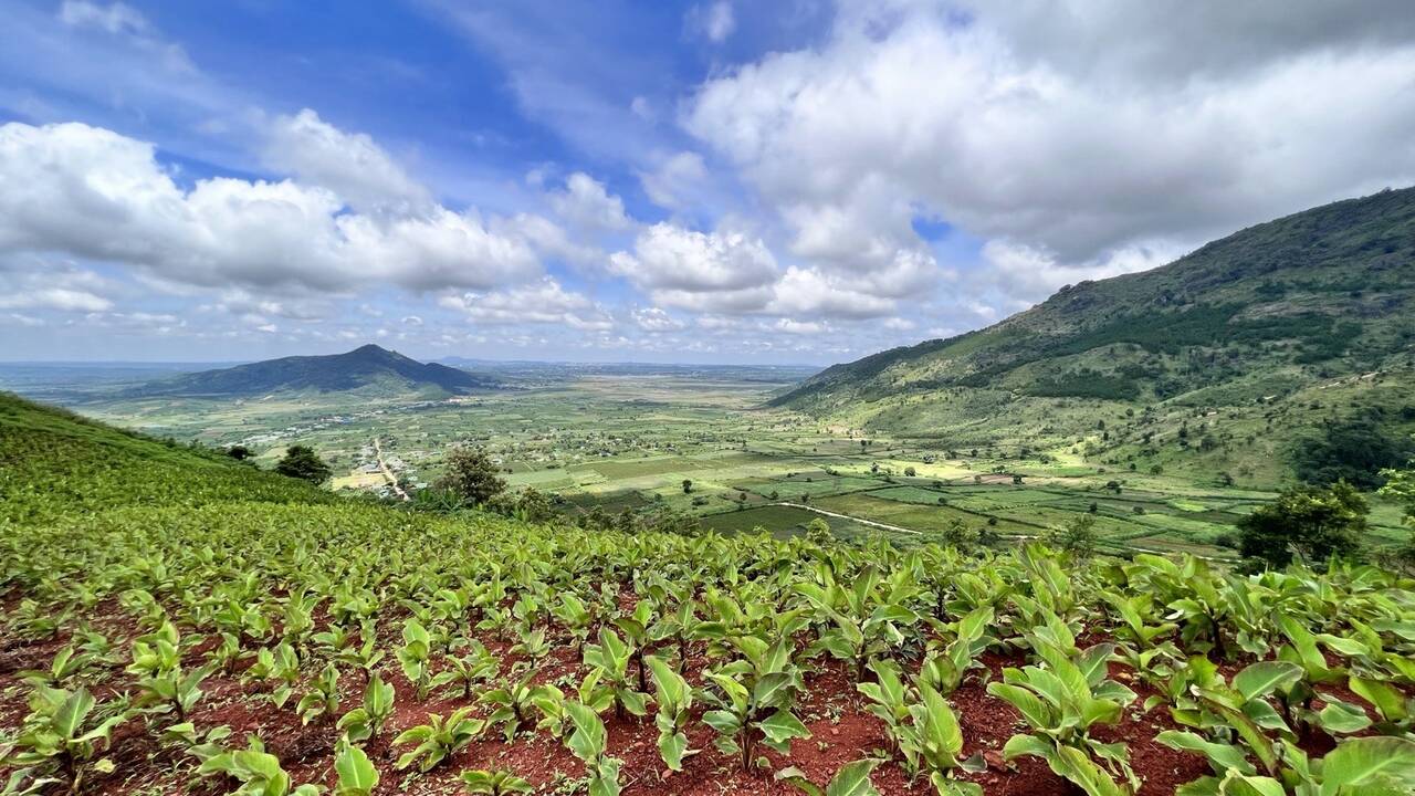 Thung lũng nhìn từ sườn núi lửa Chư Đăng Ya, nương dong riềng xanh phía trước