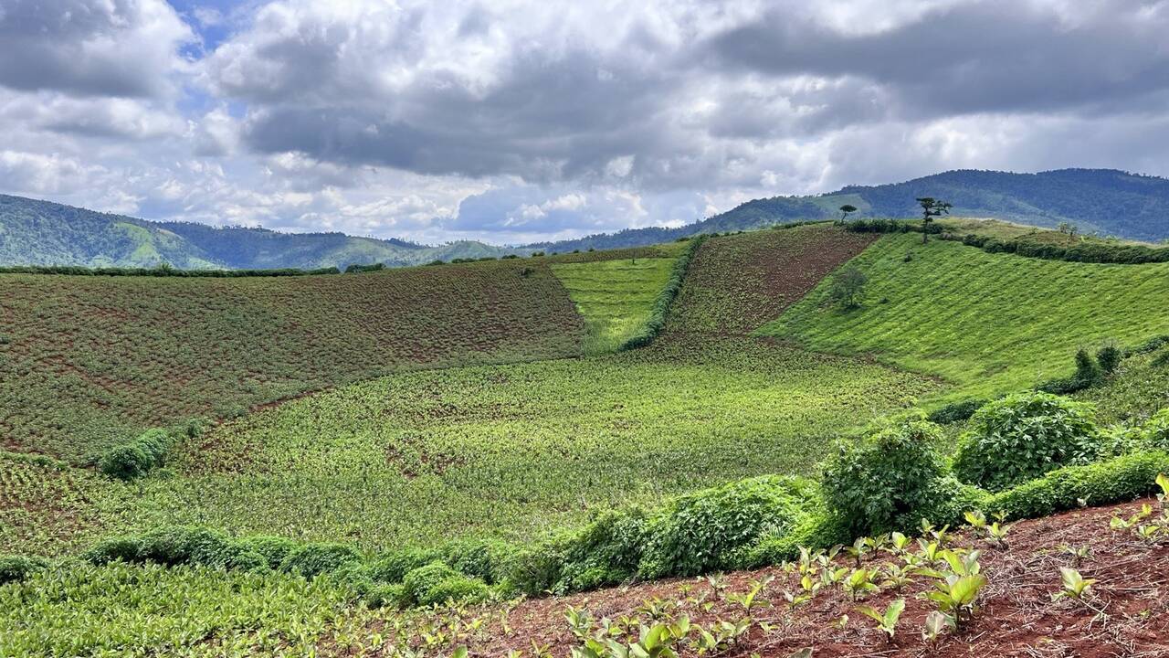 Lòng miệng núi lửa Chư Đăng Ya phủ xanh nương dong riềng mùa mưa